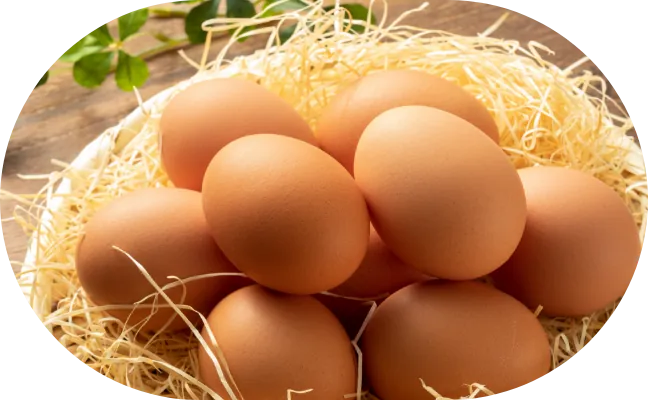 Momiji eggs in wood shavings