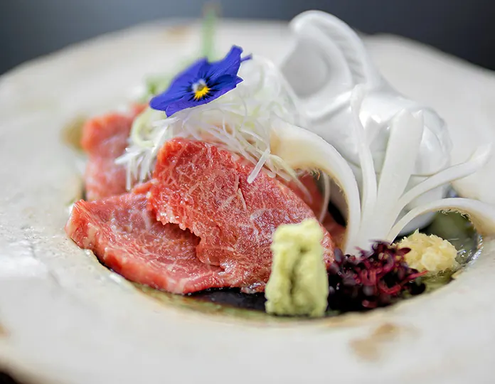 Basashi (horse sashimi)