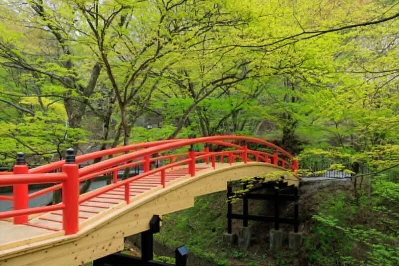 The red span of Kajika Bridge among spring leaves