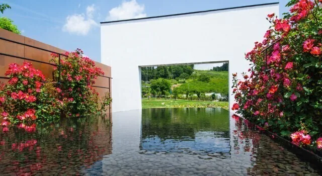 Roses and a still pool at Nakanojo Gardens