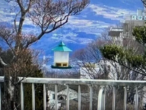 A bird feeder above the rooftop open-air bath