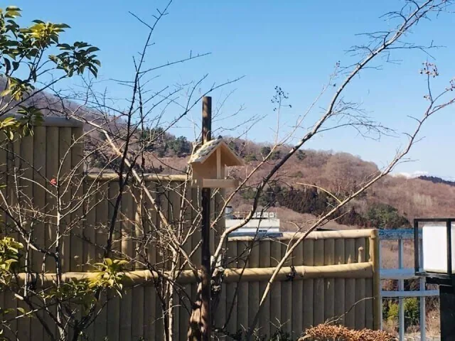 A bird feeder at Ryokan Omori