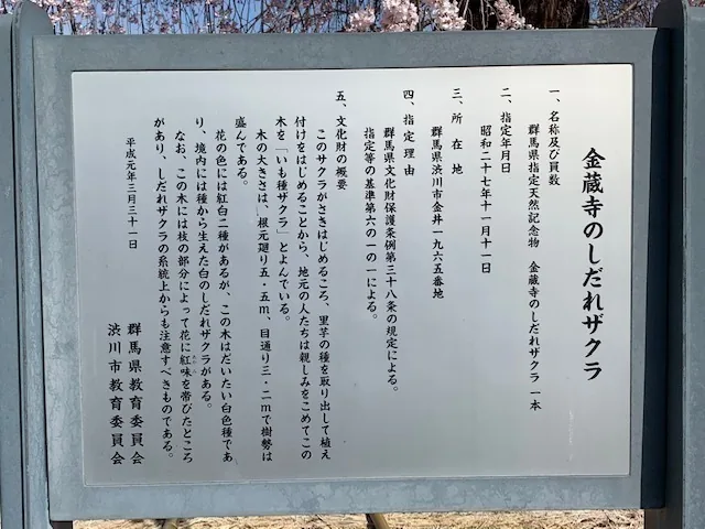 Plaque for the weeping cherry at Konzō-ji, a Gunma Prefecture natural monument