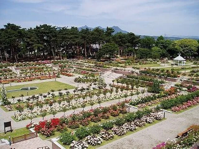 The Kadokura Techno Rose Garden at Shikishima Park