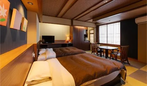 Japanese-Modern Twin